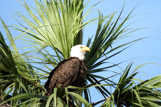 Tour image 9