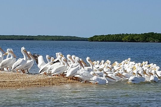 Tour image 5