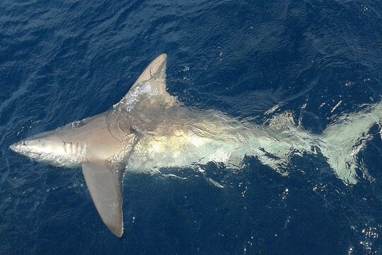 Tour image 5