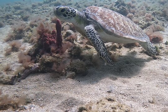 Tour image 6